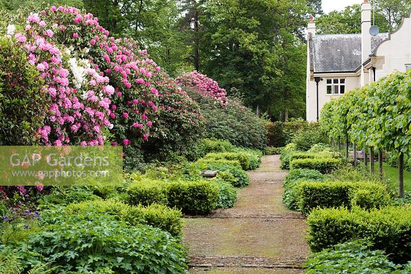 View of the Shade Walk towards the main house, along side the Pleached Lime Walk. 