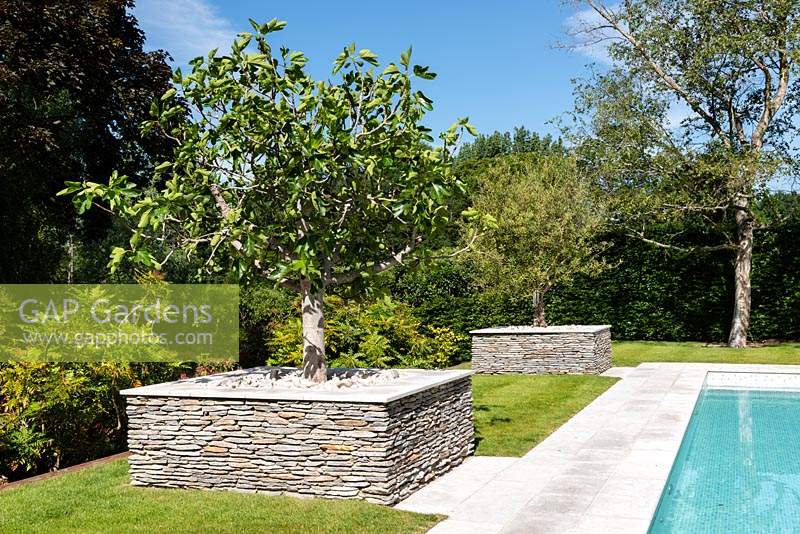 Trees planted in raised beds edged with granite walls