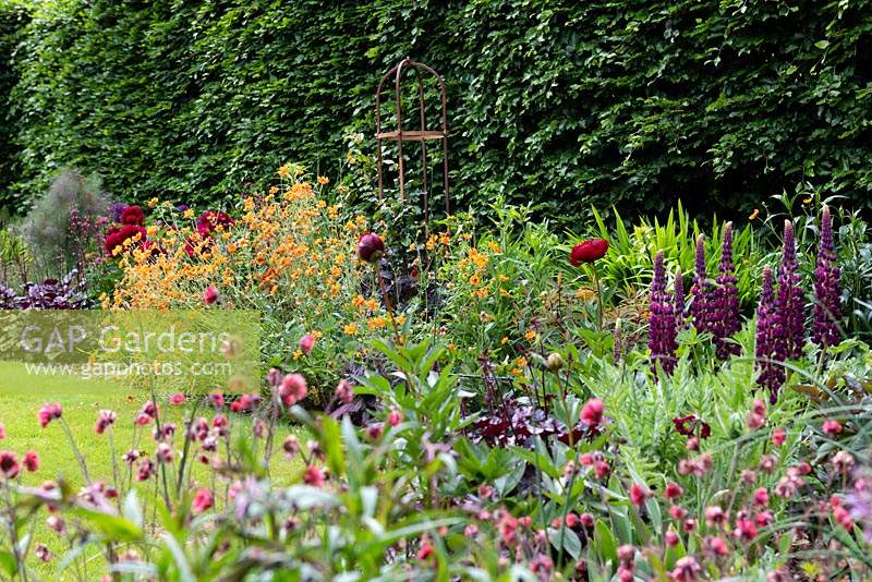 View across a flower bed