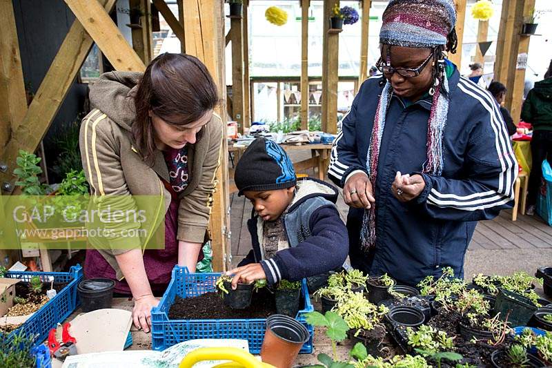 Child potting up plants under supervision of adults