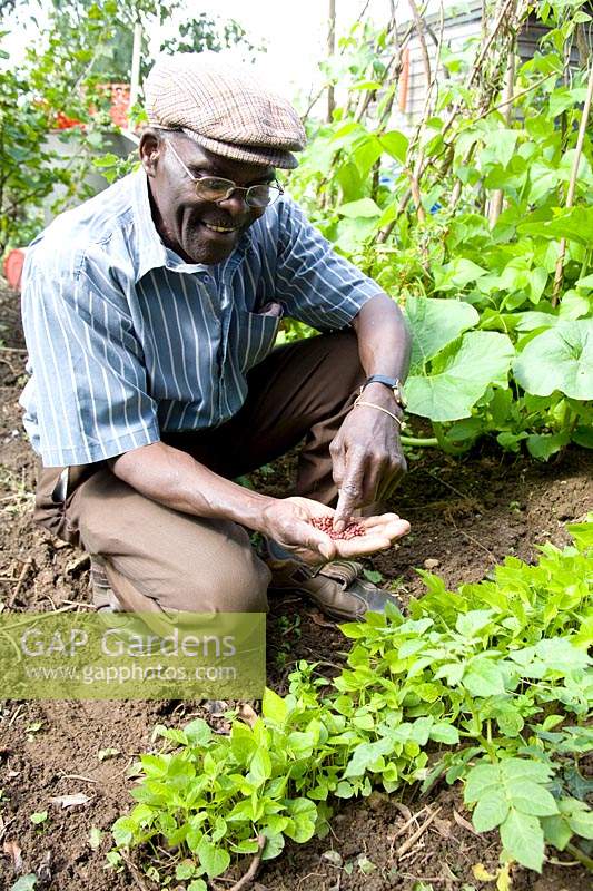 Man kneeling down looking at seeds on his vegetable plot