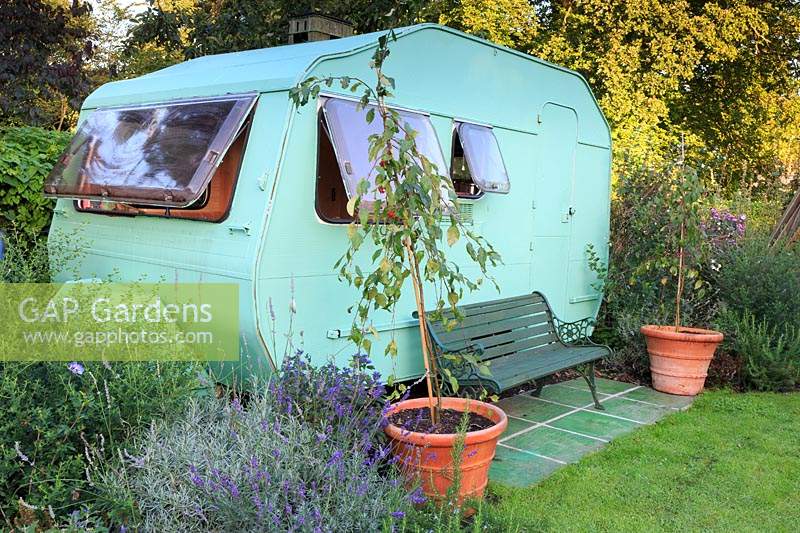Super Sprite caravan which serves as a home office, with paved seating area with Malus 'Red Jade' - Crabapple - in terracotta pots and a bed of including Lavandula x intermedia 'Grosso' - Lavender and Caryopteris clandonensis