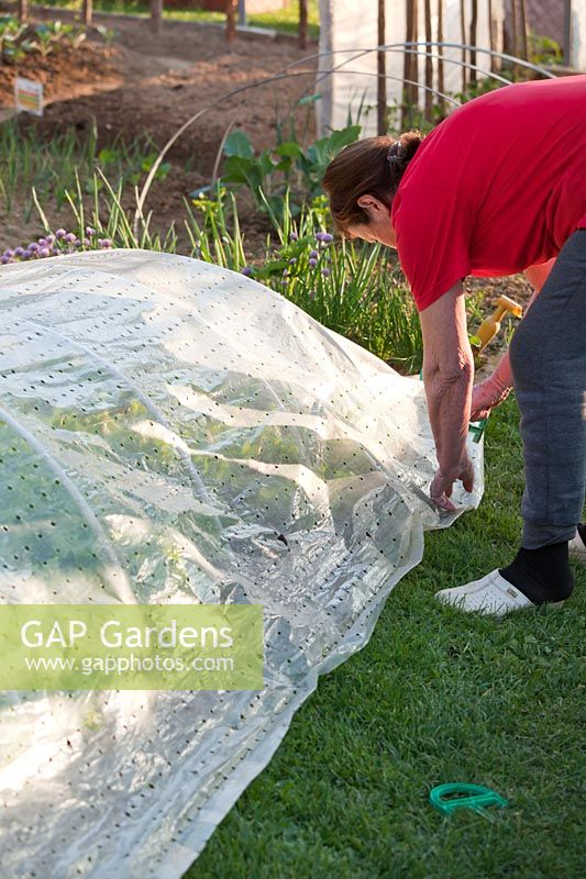 Woman using pegs to secure base of fleece at ground level.