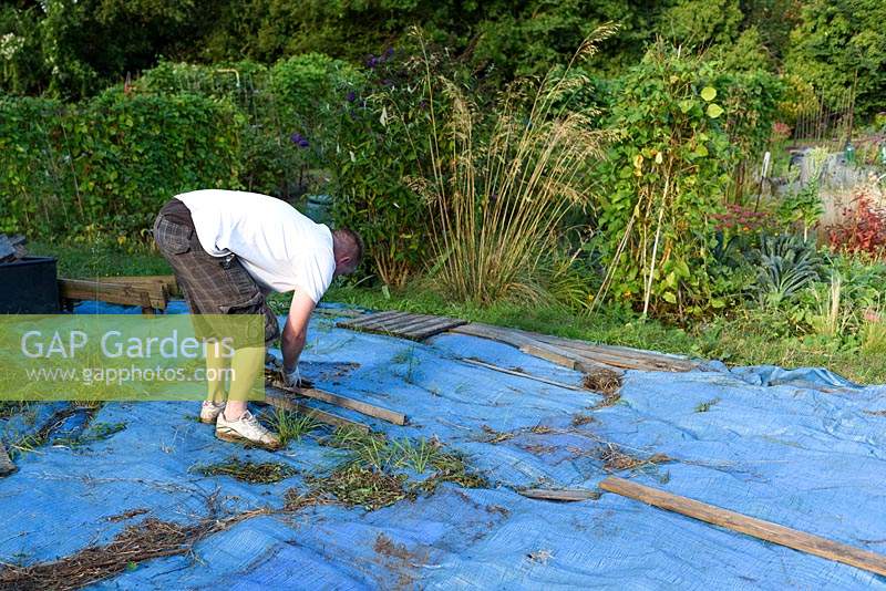 Man covering plot with plastic sheet, to protect form weeds.