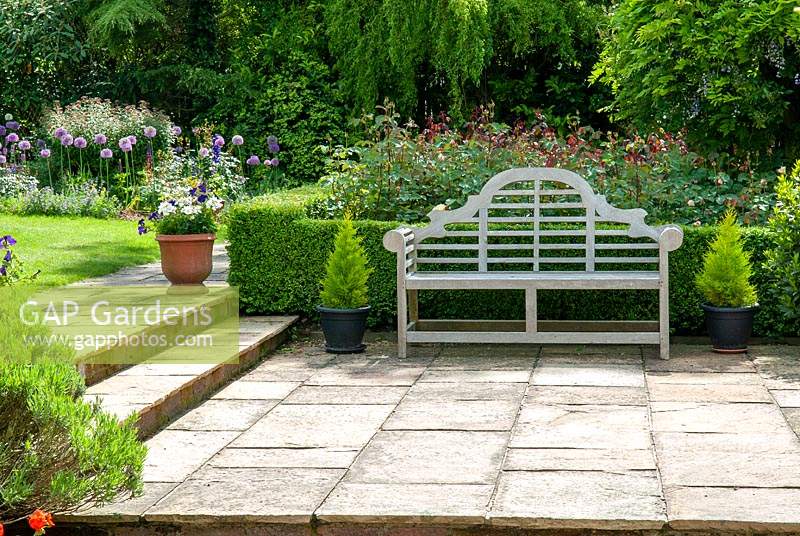 Garden bench on patio with rose bed behind and steps leading up to lawn and borders of  Aliums and Nepeta - Open Gardens Day, Topcroft, Norfolk