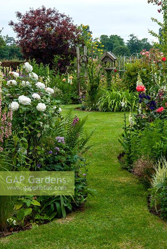 Path through well stocked perennial borders including Rosa floribunda 'Iceberg' with distant bird table and architectural feature - Open Gardens Day, Drinkstone, Suffolk