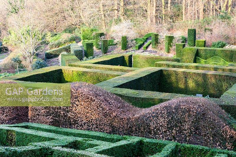 Formal country garden with low hedges of clipped Buxus Sempervirens and Wave-form Fagus Sylvatica 