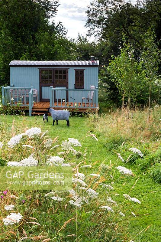 The shepherd's hut with wooden veranda, in front two wire sheep sculptures on grass. In foreground wildflowers Daucus carota - Wild Carrot and Centaurea scabiosa - Greater Knapweed.