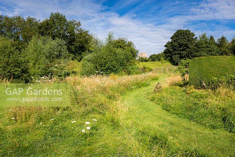 The wild meadow area with mown path, wildflowers include Daucus carota - Wild Carrot, Centaurea scabiosa - Greater Knapweed and Heracleum sphondylium - Hogweed