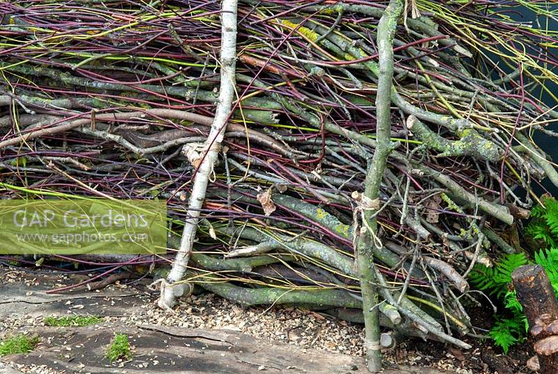 Pile of cut hedgerow trimmings and sticks creating a wildlife habitat