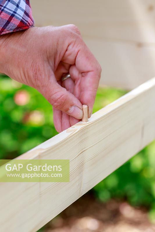 Close up detail inserting a piece of dowel into a wooden panel