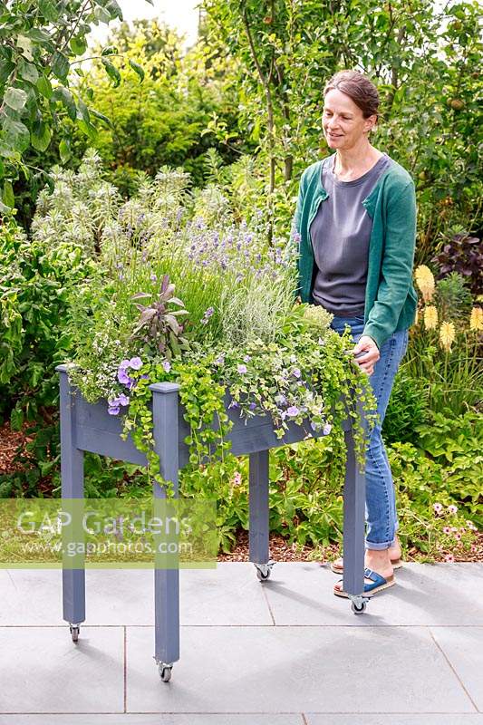 Woman pushing a raised wooden planter on casters across a patio