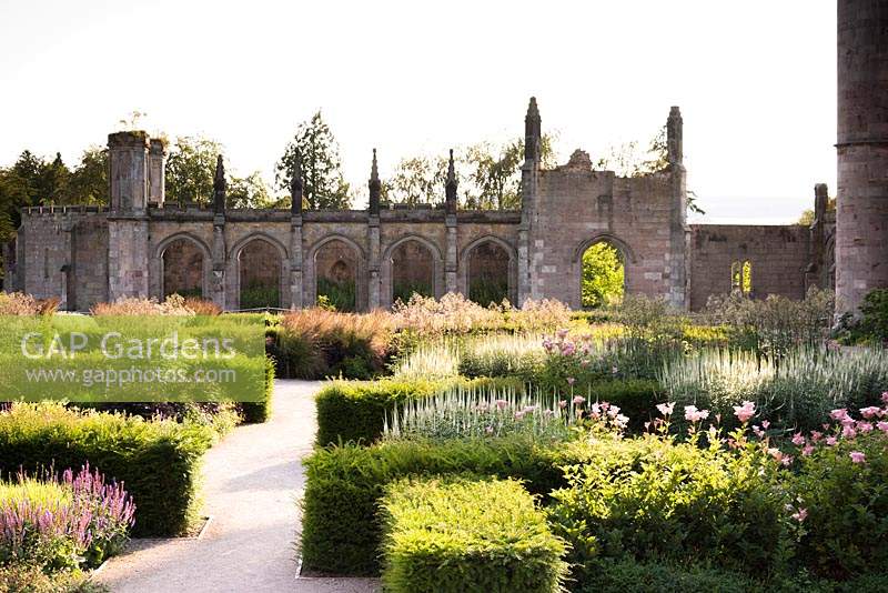 Parterre with low blocks of Taxus - Yew - framing herbaceous perennials including Filipendula venusta 'Rubra' and Veronicastrum virginicum 'Spring Dew', castle behind