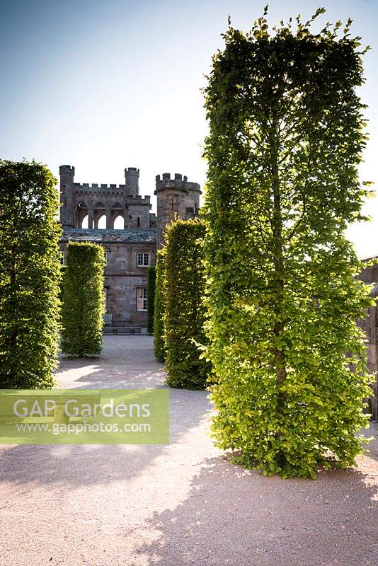 Stable Yard with clipped hornbeams at Lowther Castle