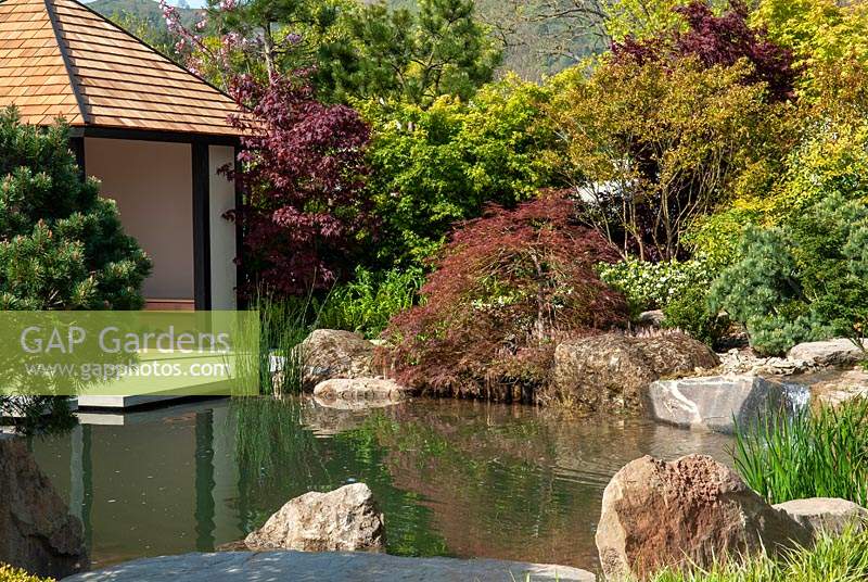 Japanese garden with pool and Tea House beyond. Acers, Pines and Rhododendrons amongst background shrubs - RHS Malvern Spring Festival
