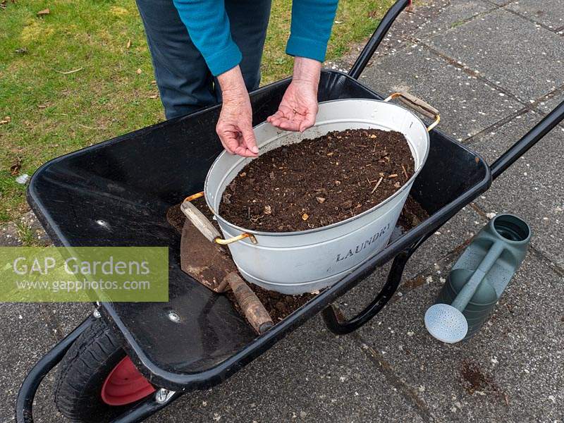 Use old containers to plant a wild flower garden.  Sewing wildflower seeds in an old container that is resting in a wheelbarrow