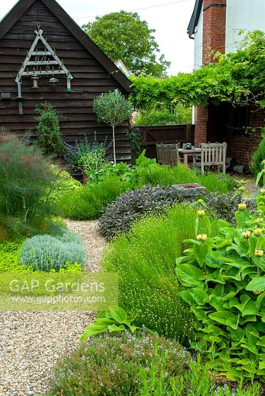 Assorted herbs on gravel bed, including Bronze Fennel, Nepeta, Santolina, Golden Marjoram, Purple Sage, Cotton Lavender, Phlomis and Thyme with bird feeders on end of barn and table and chairs beneath Wisteria - Open Gardens Day, Coddenham, Suffolk