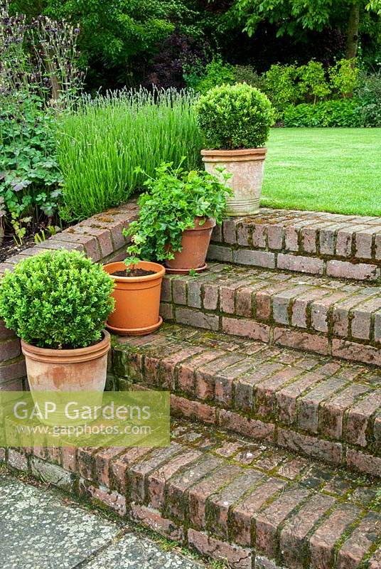 Brick steps leading to lawn with planted pots on each step - Open Gardens Day, Coddenham, Suffolk