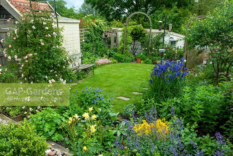 Small cottage garden with lawn and colourful border planting of perennials and Rose 'Open Arms' on metal arch - Open Gardens Day, Coddenham, Suffolk