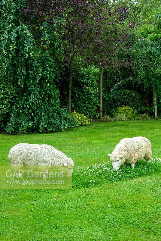 Sheep sculptures grazing on lawn - Open Gardens Day, Kelsale, Suffolk
