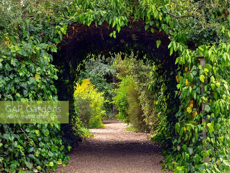 Arch above gravel path covered with several varieties of ivy 