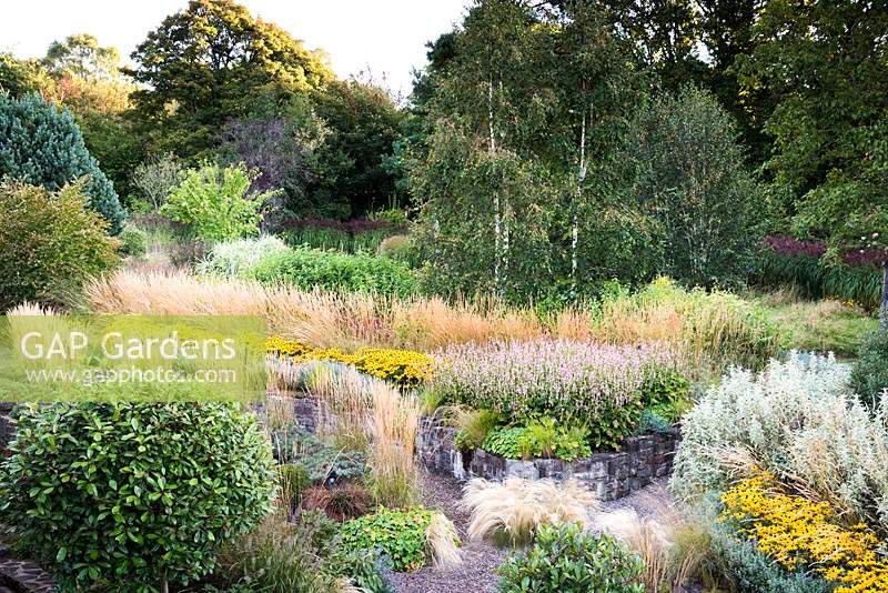 Aerial view of front garden with grasses and herbaceous perennials including  Rudbeckia fulgida var. deamii, Nepeta 'Six Hills Giant', Calamgrostis x acutiflora 'Karl Foerster', C. x acutiflora 'Overdam', Persicaria amplexicaulis 'Rosea' and Stipa tenuissima at Barn House, Gloucestershire in September