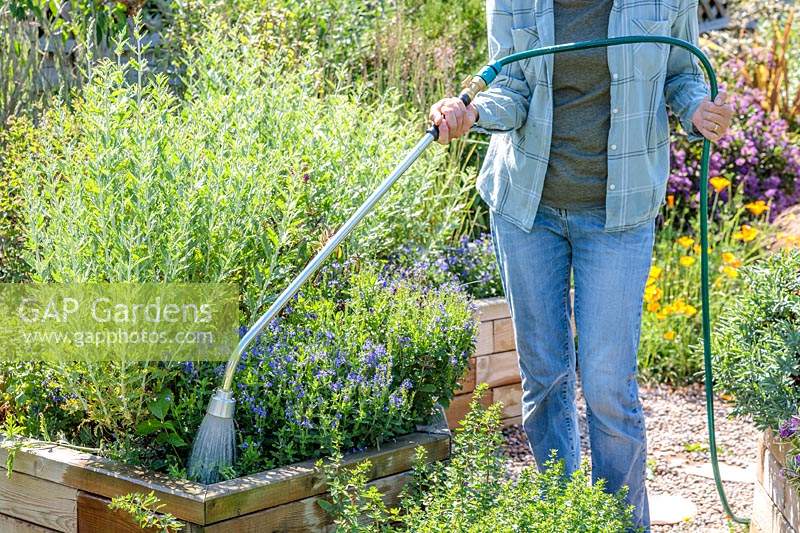 Woman watering at base of plants using a wand
