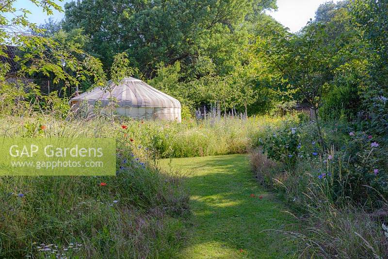 Wild flower meadow with mown path leading to yurt. 