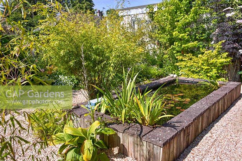 Raised pond surrounded by gravel and planted with Veratrum cv, Iris cv, Phyllostachys and Acer palmatum.