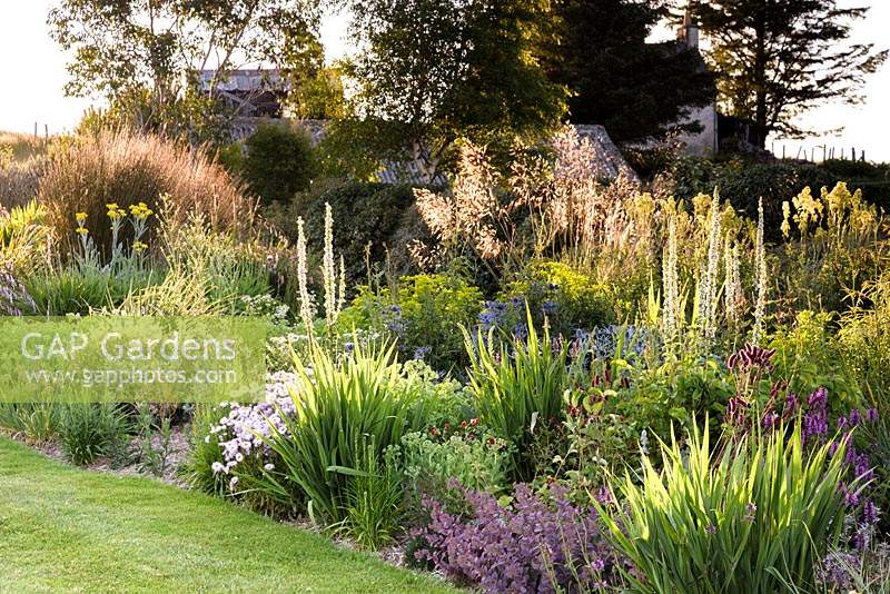 Perennial border catching evening sunlight in a private garden on Little Loch Broom, Wester Ross, Scotland. 