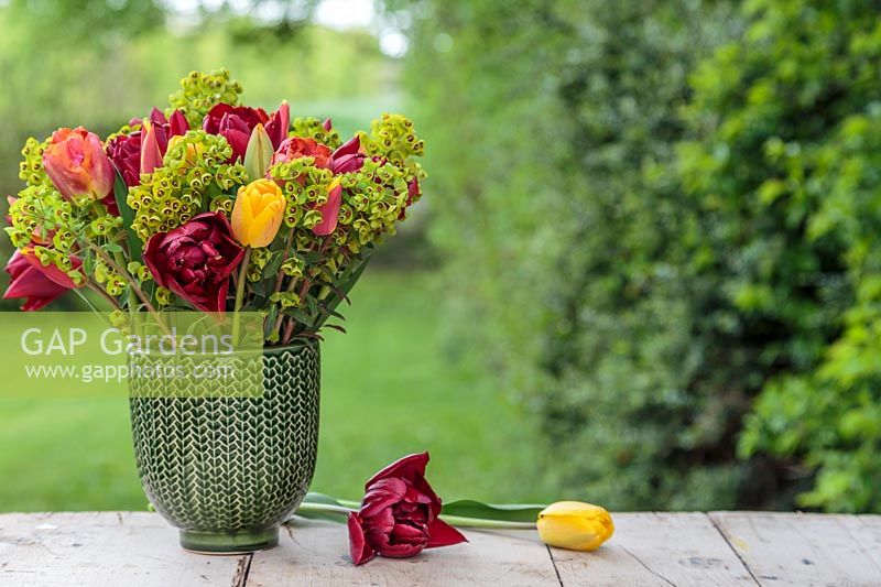 Spring arrangement in green glazed pot with Euphorbia martinii and mixed Tulips