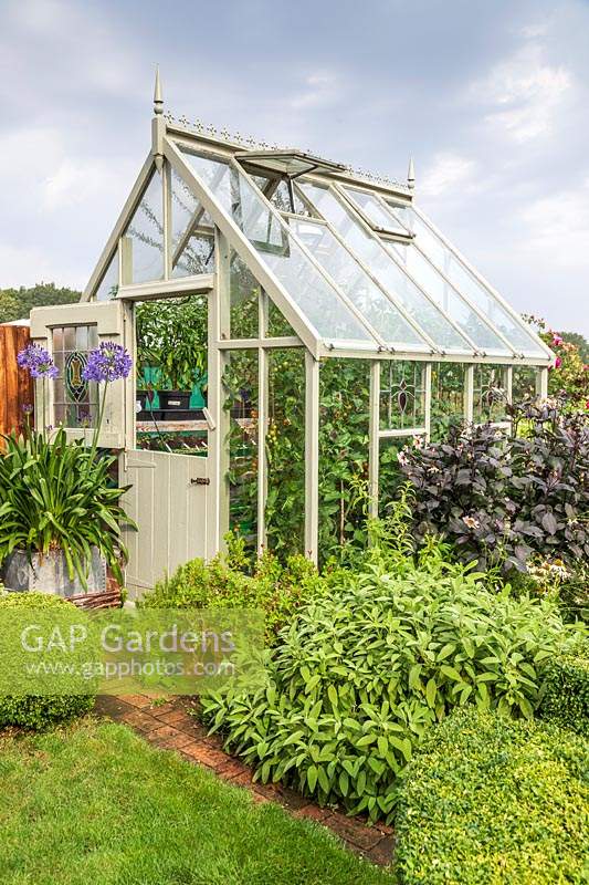 Wooden painted greenhouse with stable door and open vent windows 