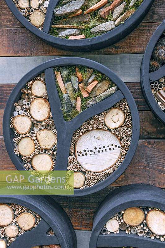 Circular insect hotels attached to a wooden wall and filled with bamboo canes, branches, stones and moss.