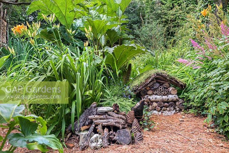 Pine needle path and insect hotel with hedgehog shelter in wildlife friendly garden 