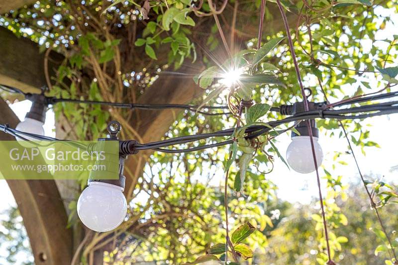 Detail of chains of lights hanging from underside of wooden pergola