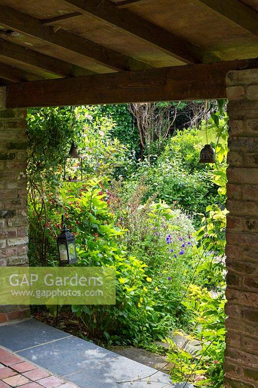 View from the barn where swifts and bats nest, onto the garden. Honeysuckle, Lonicera periclymenum 'Belgica', weigela, aquilegias, Aquilegia sp., and Welsh poppies, Meconopsis cambrica,.