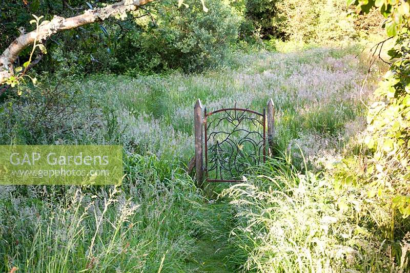 Decorative gate into wildflower meadow - Dyffryn Fernant, Wales