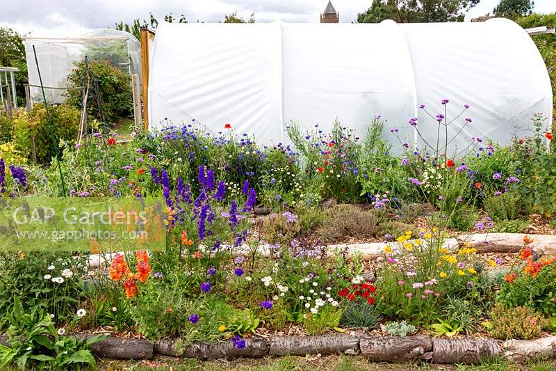 Overview of allotment with cut flowers