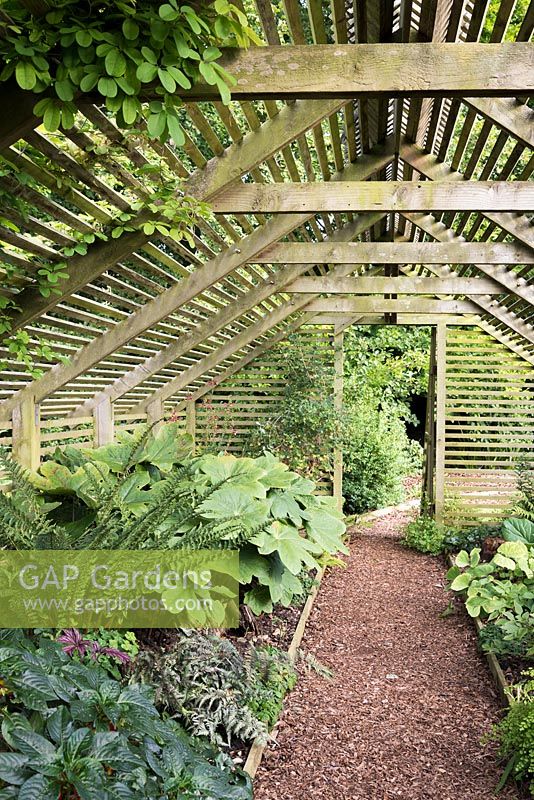 The Shade House at Bourton House planted with shade-loving plants such as ferns, podophyllums and begonias.