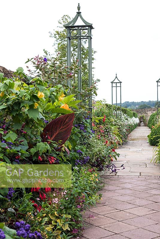 Pots of tender perennials and annuals lined along at wall at Bourton House, Gloucestershire, UK.
