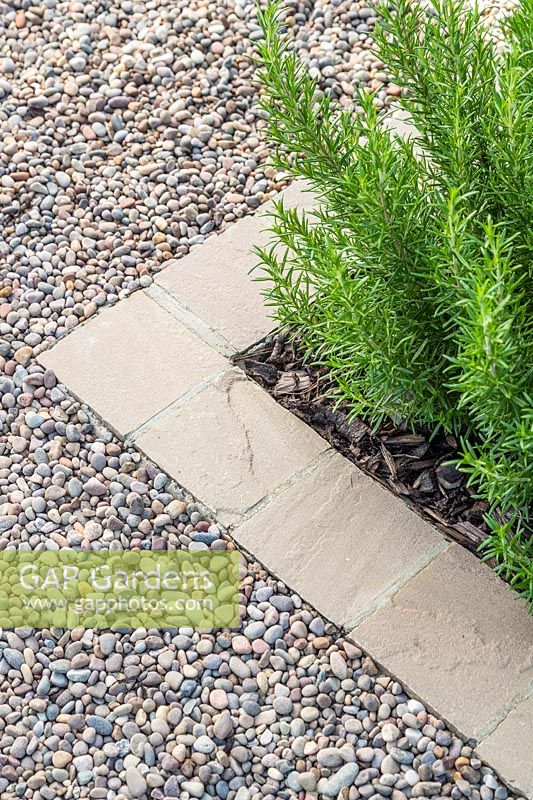 Path edge made from square pavers with Rosmarinus growing alongside.