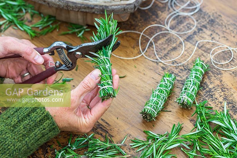 Smudge stick made with Salvia rosmarinus syn. Rosmarinus officinalis - Rosemary - clippings tightly packed, strung with cotton and trimmed