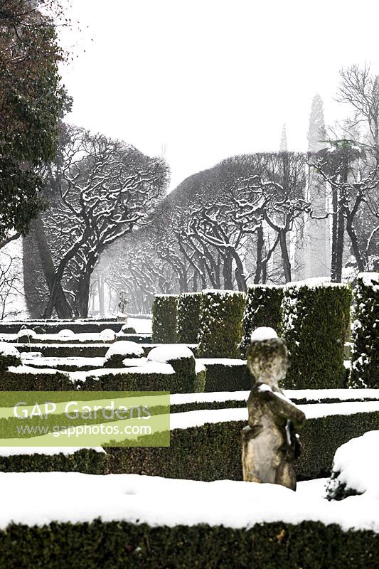 Topiary in the snow and the hornbeam lined path