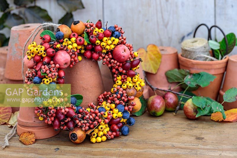 Autumnal berry wreath with terracotta pots - Prunus domestica subsp. insititia var. nigra - Bullace, Pyracantha, Malus 'evereste' - Crab apple, Rose Hips, Crataegus persimilis 'Prunifolia Splendens' - Hawthorn and Cotoneaster salicifolia