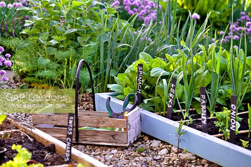 Kitchen garden with Leek, Spinach, Parsley, Onion