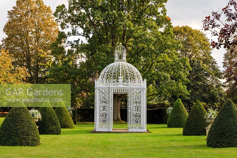 A white ornate metal gazebo flanked by clipped yew cones, Taxus baccata, and stone urns on pedestals with displays of silver-leafed Astelia chathamica. Behind it is the towering 'Queen Elizabeth Oak' - Quercus robus.