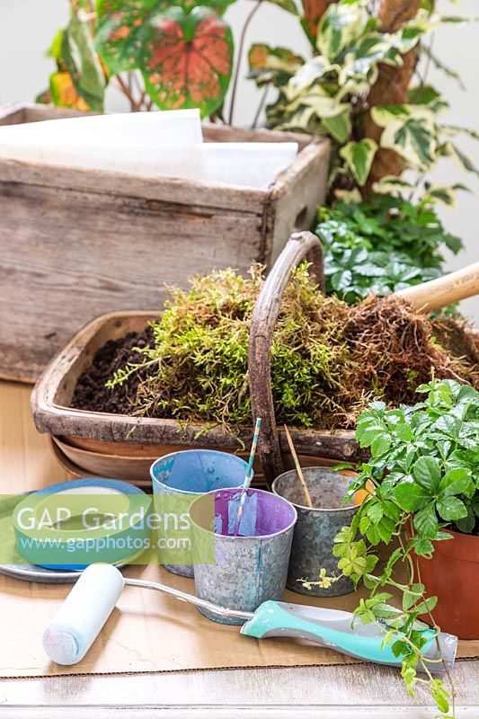 Tools and materials required to make a painted wooden planter