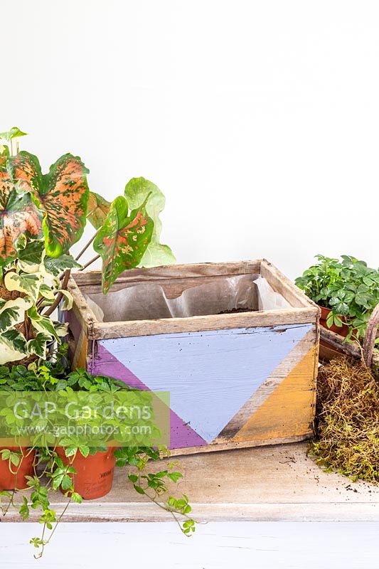 Decorated wooden box planter ready for planting up with house plants