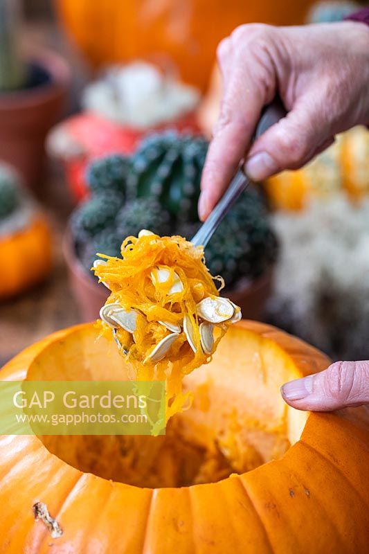 Woman using a spoon to hollow out a pumpkin removing seeds and pulp.