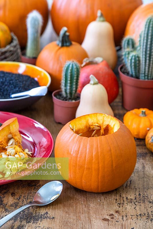 Table top with hollowed out pumpkin surrounded by pumpkins, squash and cacti